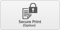 Optional Secure print